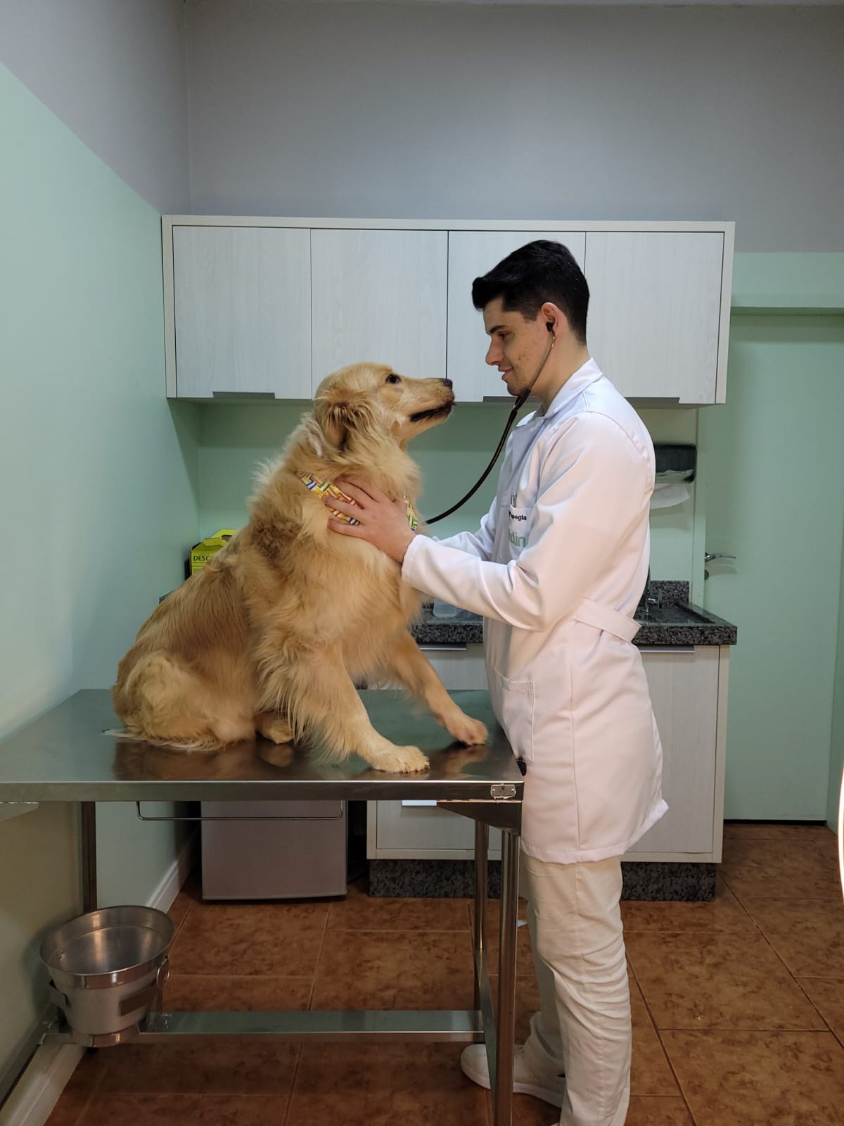 Atendimento veterinário cuidadoso